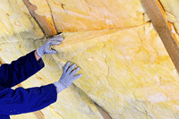 batts in the attic, Boston, Brook Farm MA